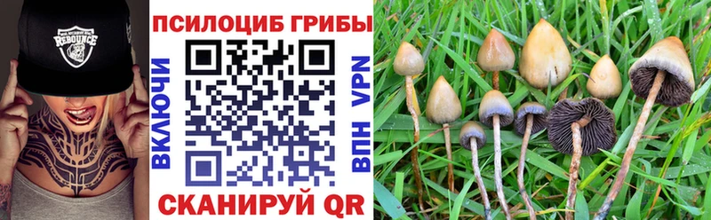 Купить закладки  Кинель  Псилоцибиновые грибы Cubensis 
